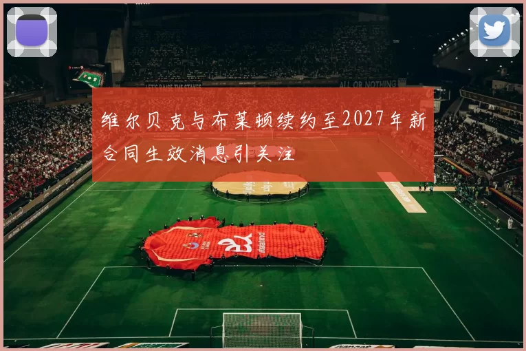 维尔贝克与布莱顿续约至2027年新合同生效消息引关注