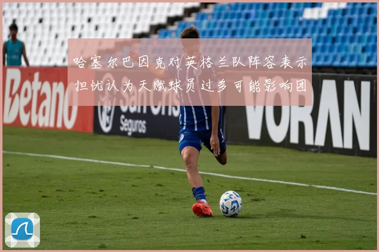 哈塞尔巴因克对英格兰队阵容表示担忧认为天赋球员过多可能影响团队合作